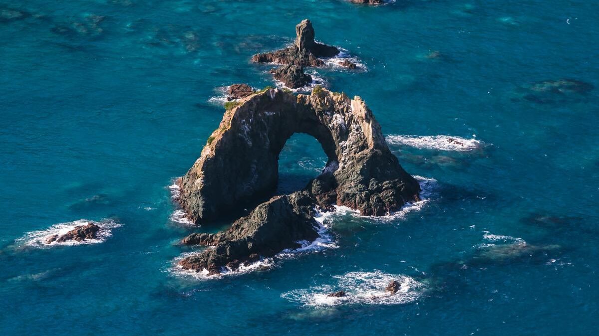 «Золотая камбала зеленоградских рыбаков»