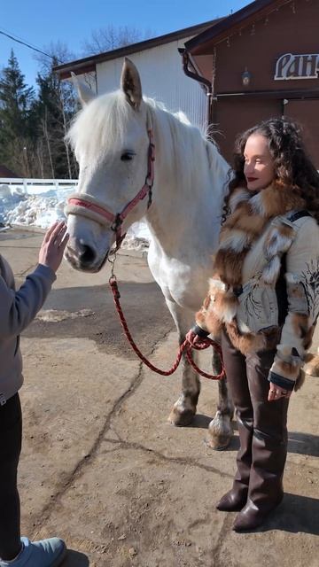 У меня появился тайный HR! Взяли бы себе такого на работу?