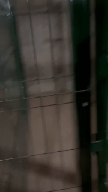 Помещение 2129