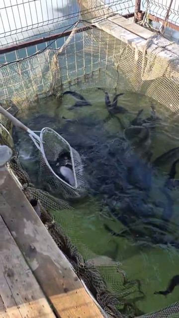 запуск21.03.mp4