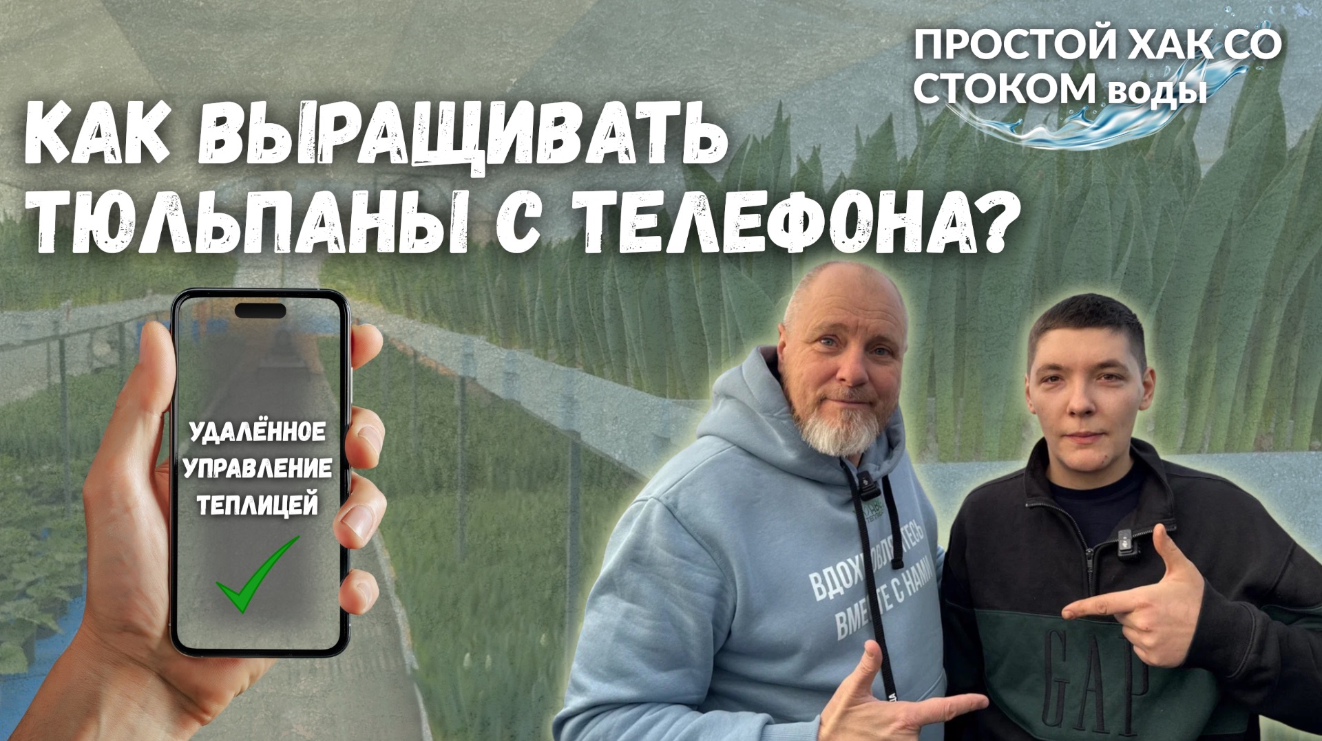 45 тысяч тюльпанов под управлением Алисы. Четвёртый сезон выгонки. Реальный опыт без лишних затрат.