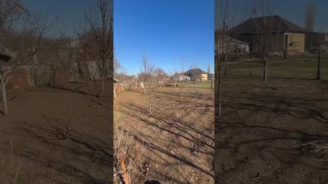 видео родниковое