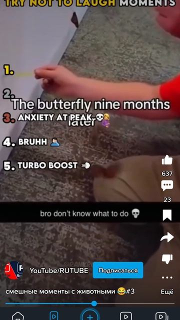 1000020069.mp4