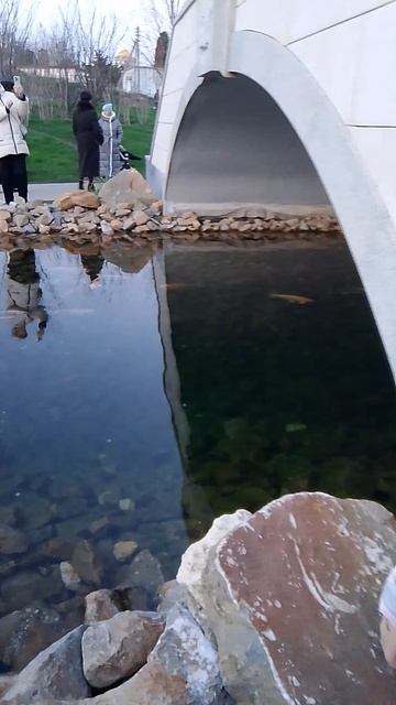 Это мы в Сивостопое😍😍