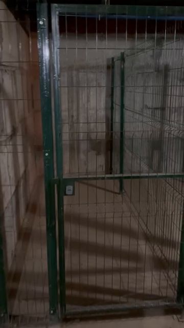 Помещение 2128