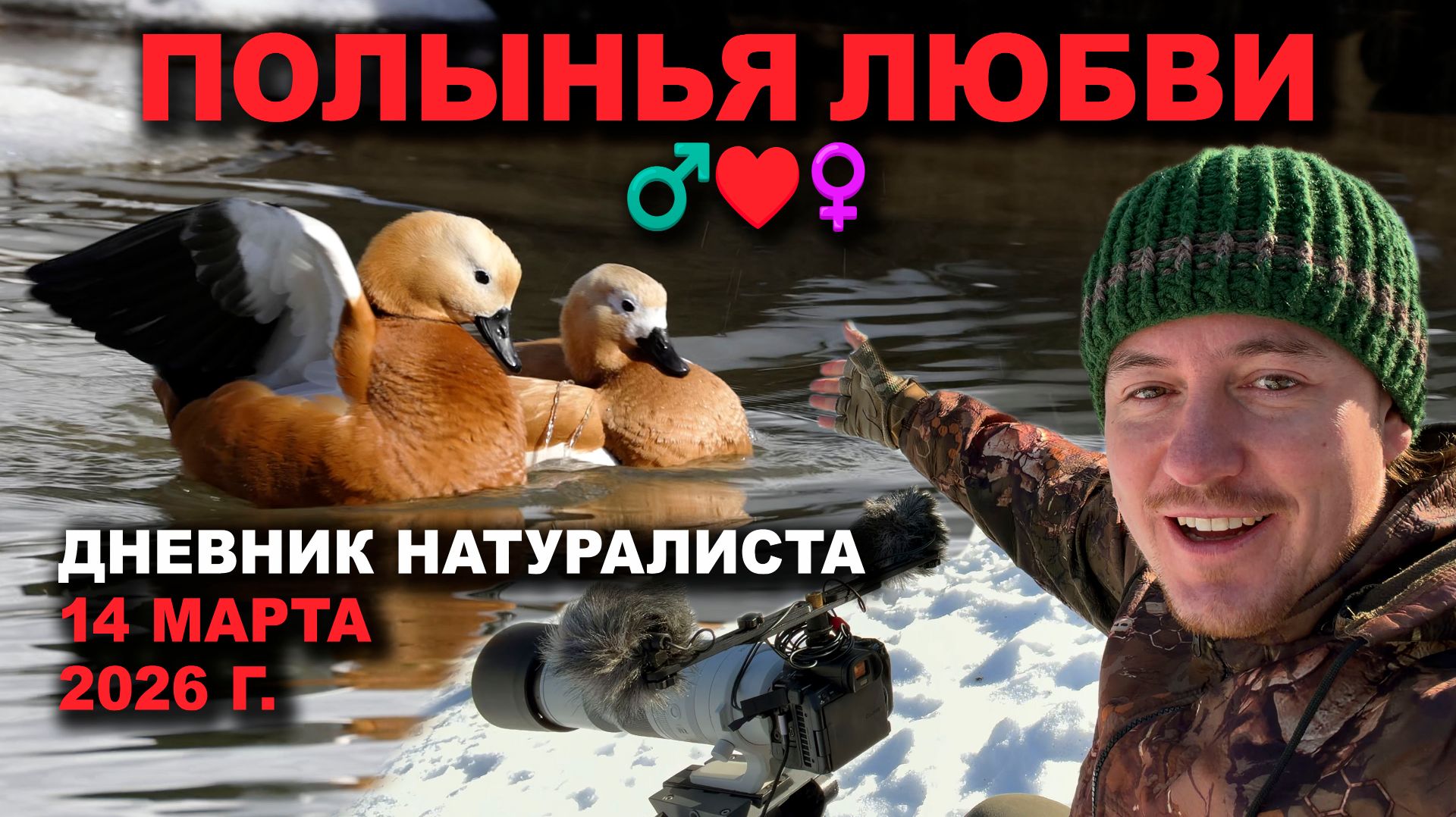 4228c8368da1b7c64747c8178d049329