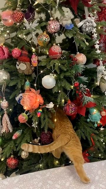 Удивительные животные !!!