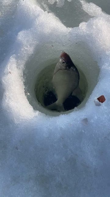 3e0b69645e520fb5a57133513d9887fe