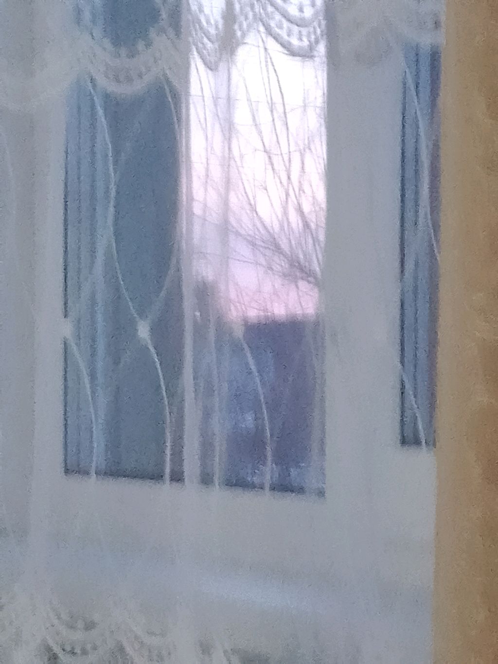 ✅💓💵💜❤️🩷💗