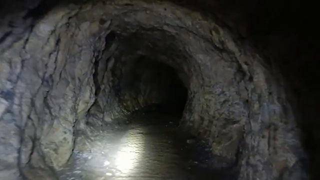 44e3dcdc35c5d9036b2d17275c4ea93e