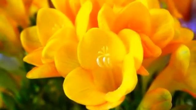 Мантра Ваджрасаттва