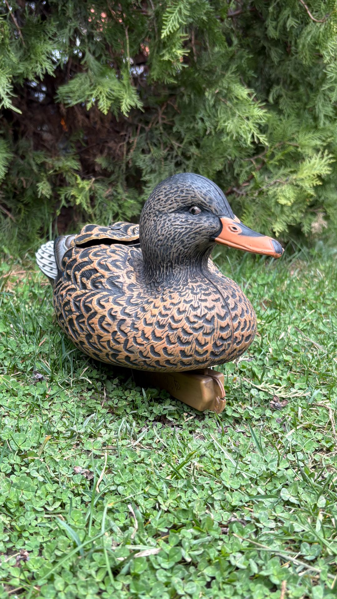 Чучело утки 