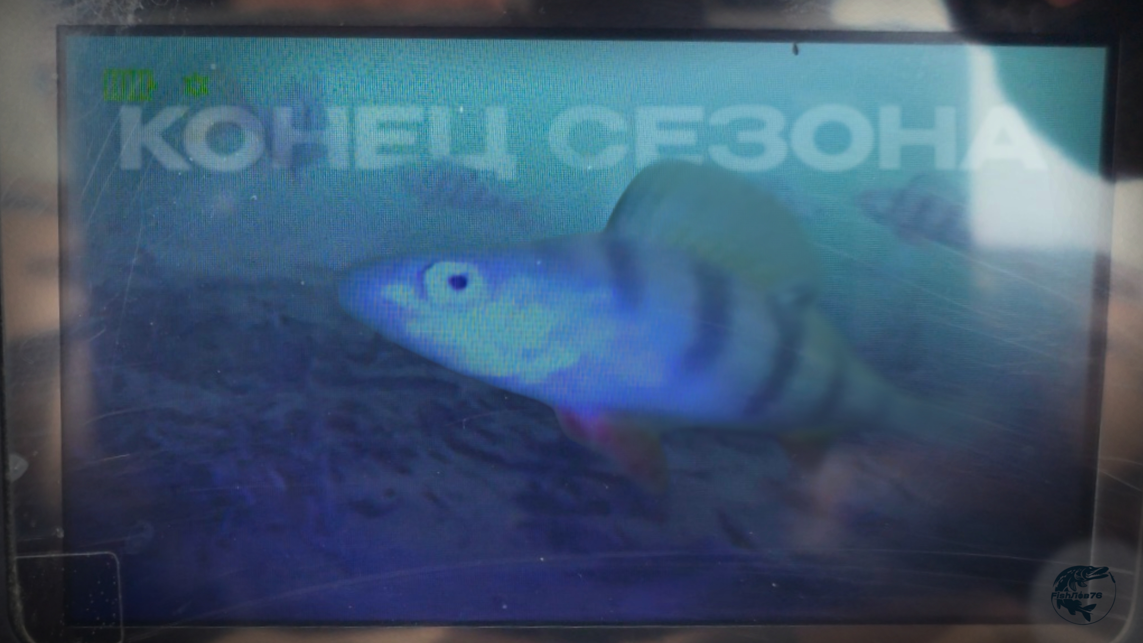 B1e50c4f9c79b1054b33b08322a7f88f