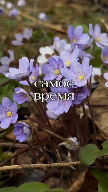 Доброе послание