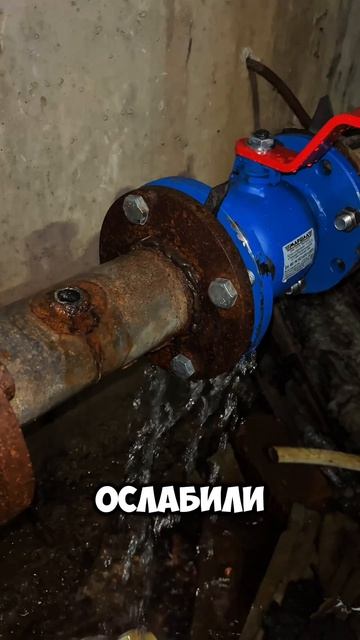 Чепик всему голова