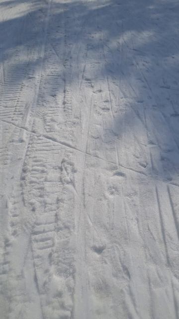 Зима радует