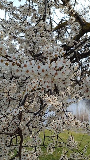 Анапа. Шёл 19-ый день весны..