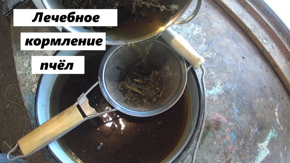 Лечебная подкормка пчёл
