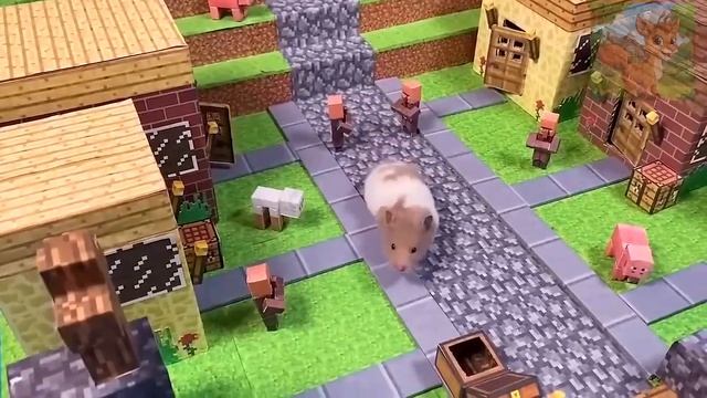 Вы когда нибудь видели такого высокомерного маленького хомячка