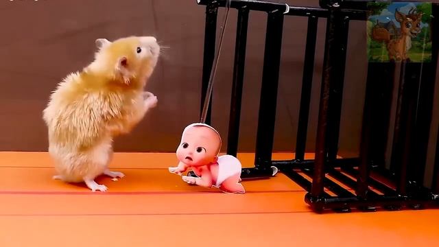 Бэби босса похитили!Маленький хомячок путешествовал по горам и рекам, чтобы отправиться в путь спасе