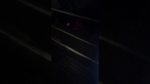 342fe4d1105bfba10bf569421d6b371f