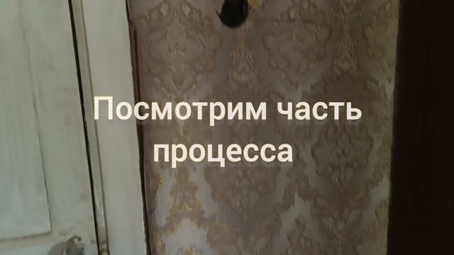 Замена электропроводки-проводки в двухкомнатной Хрущёвке в Уфе. Микрорайон Черниковка.