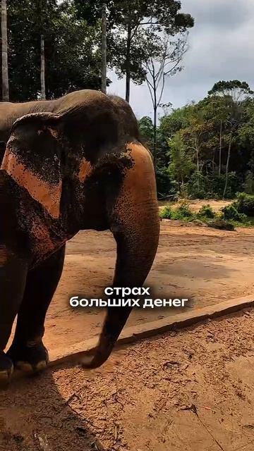 2026 год делит людей