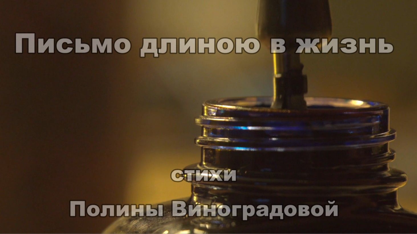 Полина Виноградова - Письмо длиною в жизнь