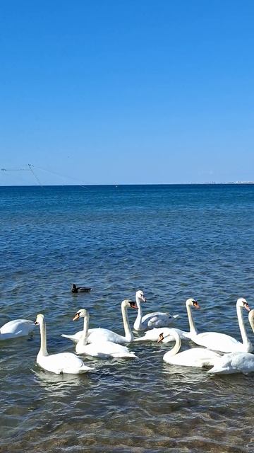 Анапа. У берега