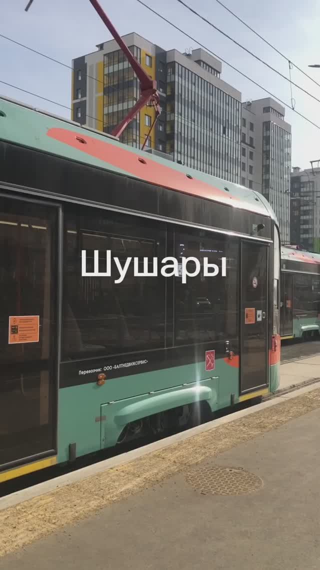 #санктпетербург #шушары новый маршрут на трамвае из Купчино 21-03-2026