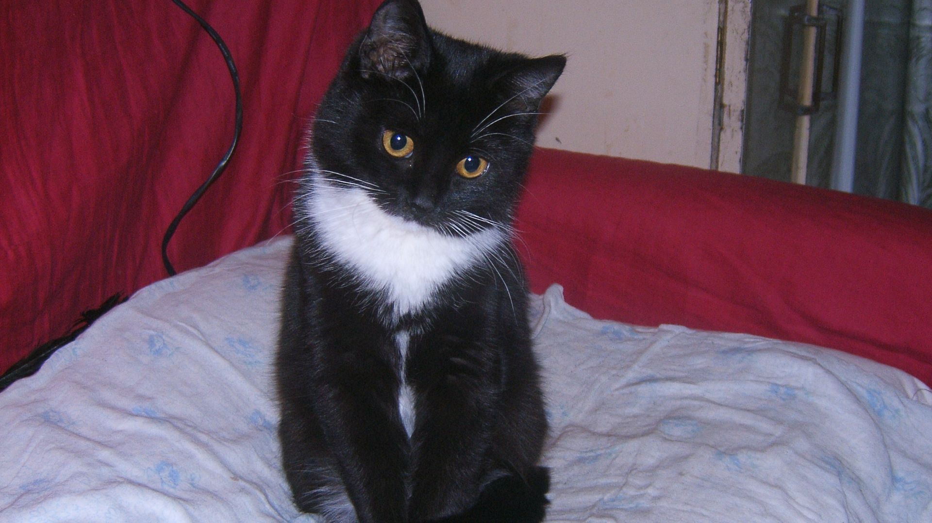 г Рыбинск. Прогулка получилась не удачной ! 21 марта 2026 год .