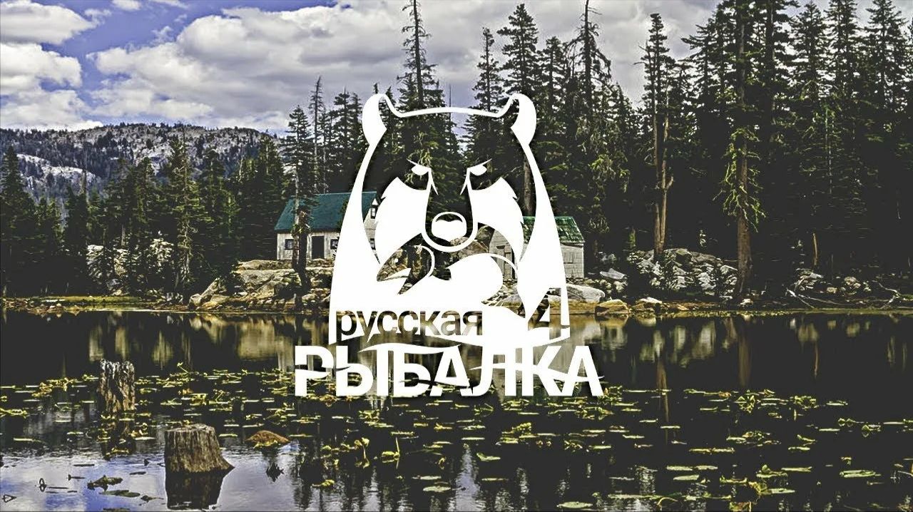 Играем в Russian Fishing 4 ловим сазана,карпа,амура и другую рыбку на р.Донец.