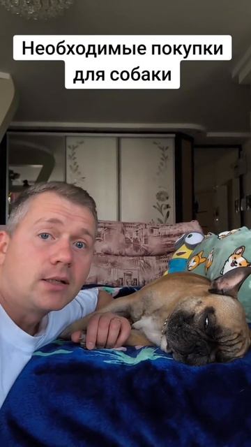 Необходимые покупки э, если решили завести себе собаку