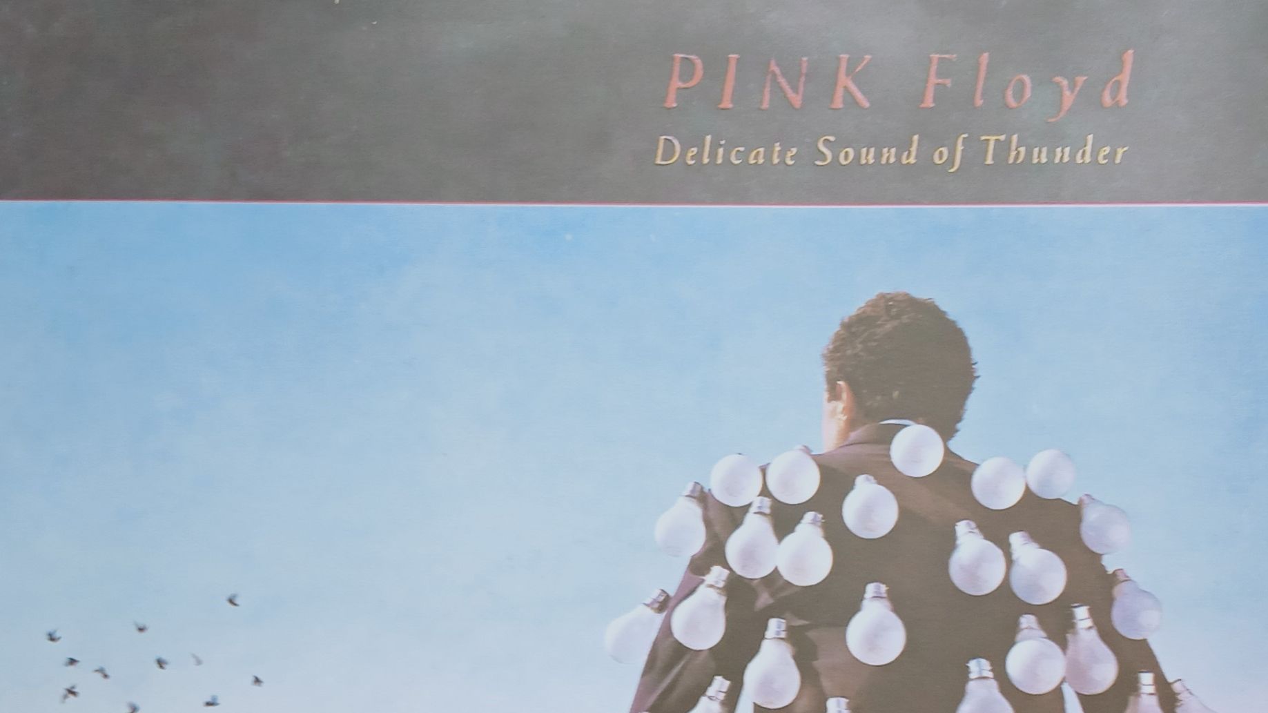 Pink Floyd_Delicate Sound Of Trunder