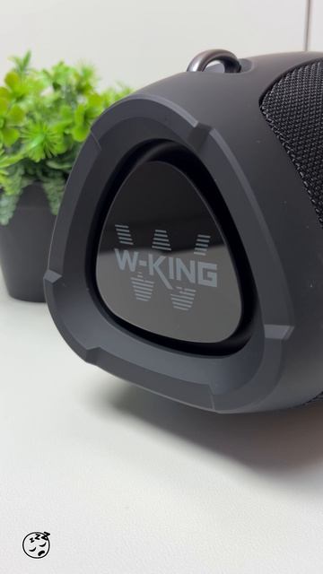 БОЛЬШАЯ, но все еще ПОРТАТИВНАЯ - колонка W-KING X10