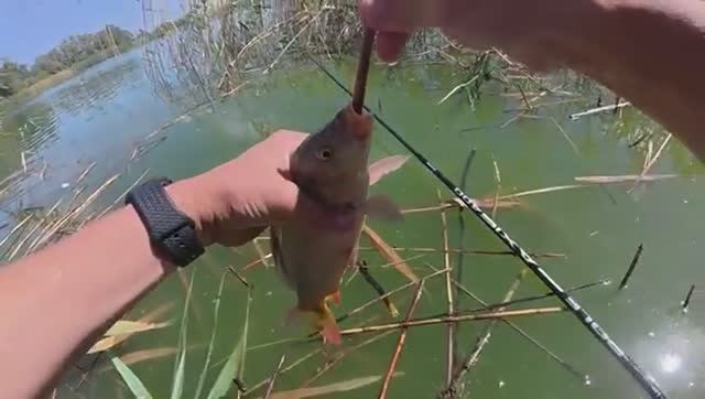 D6a94698391e6af3827f1c83cb48e0d0