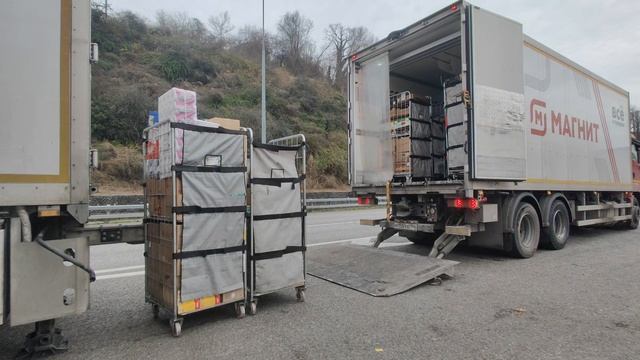 магнит категория Е стажировка