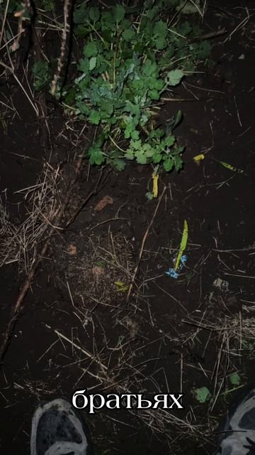 Спасение ежа