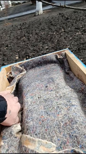 Холодно, пчёлки сидят.