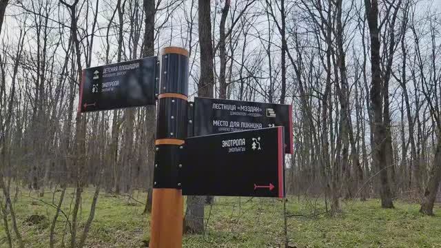 Чем занимается экскурсовод, когда нет экскурсий?!