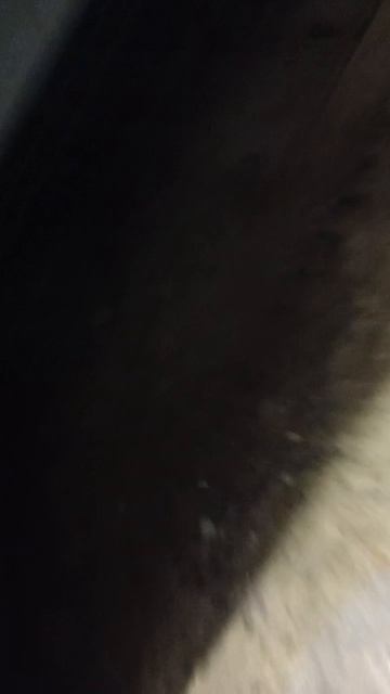 закончили ремонт Митсубиси Кольт