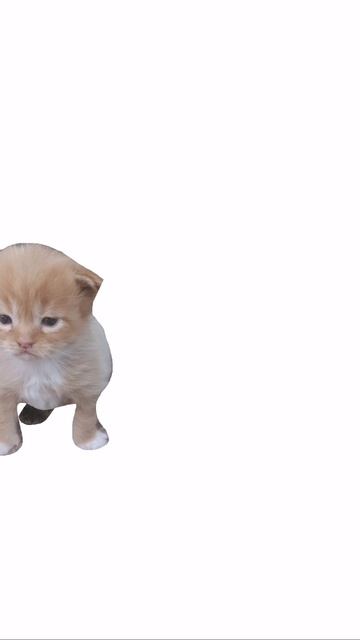 Ребята, давайте поможем Антону сбежать от котят? :)