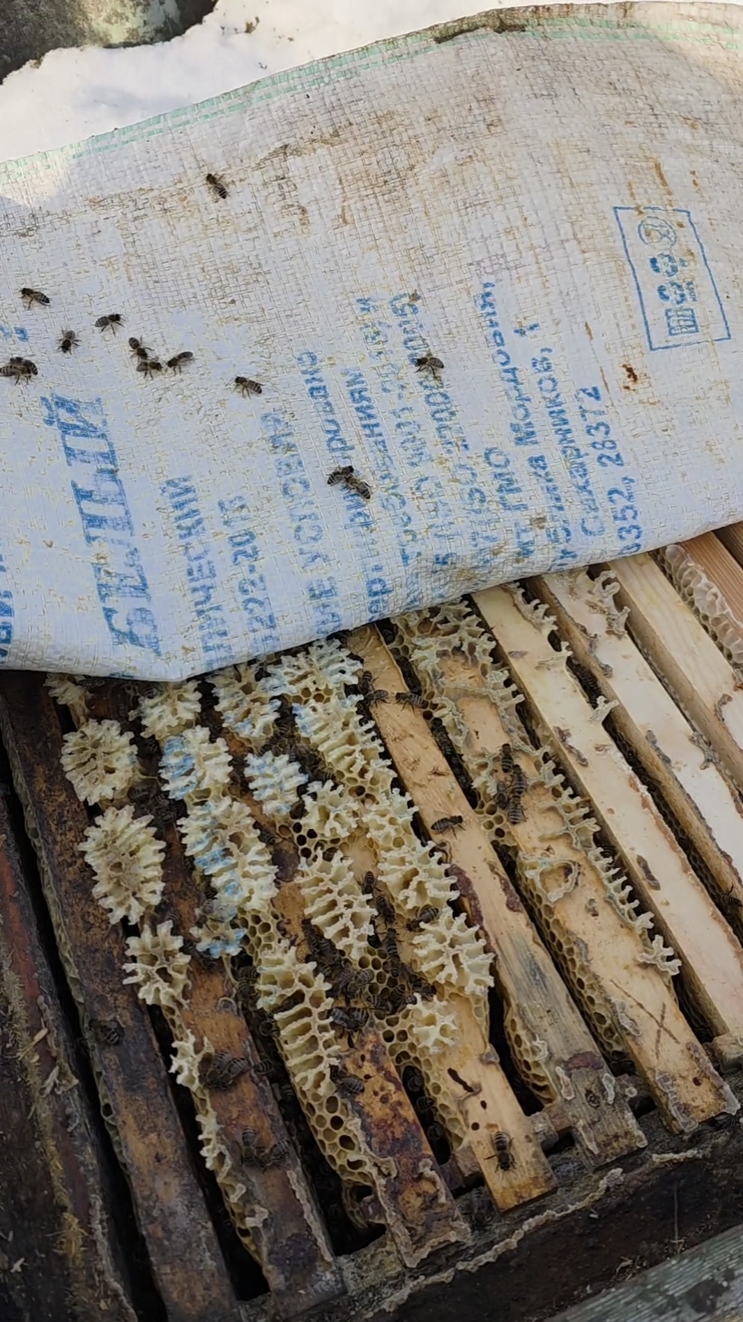 Зимовка под мешком (без подушки)