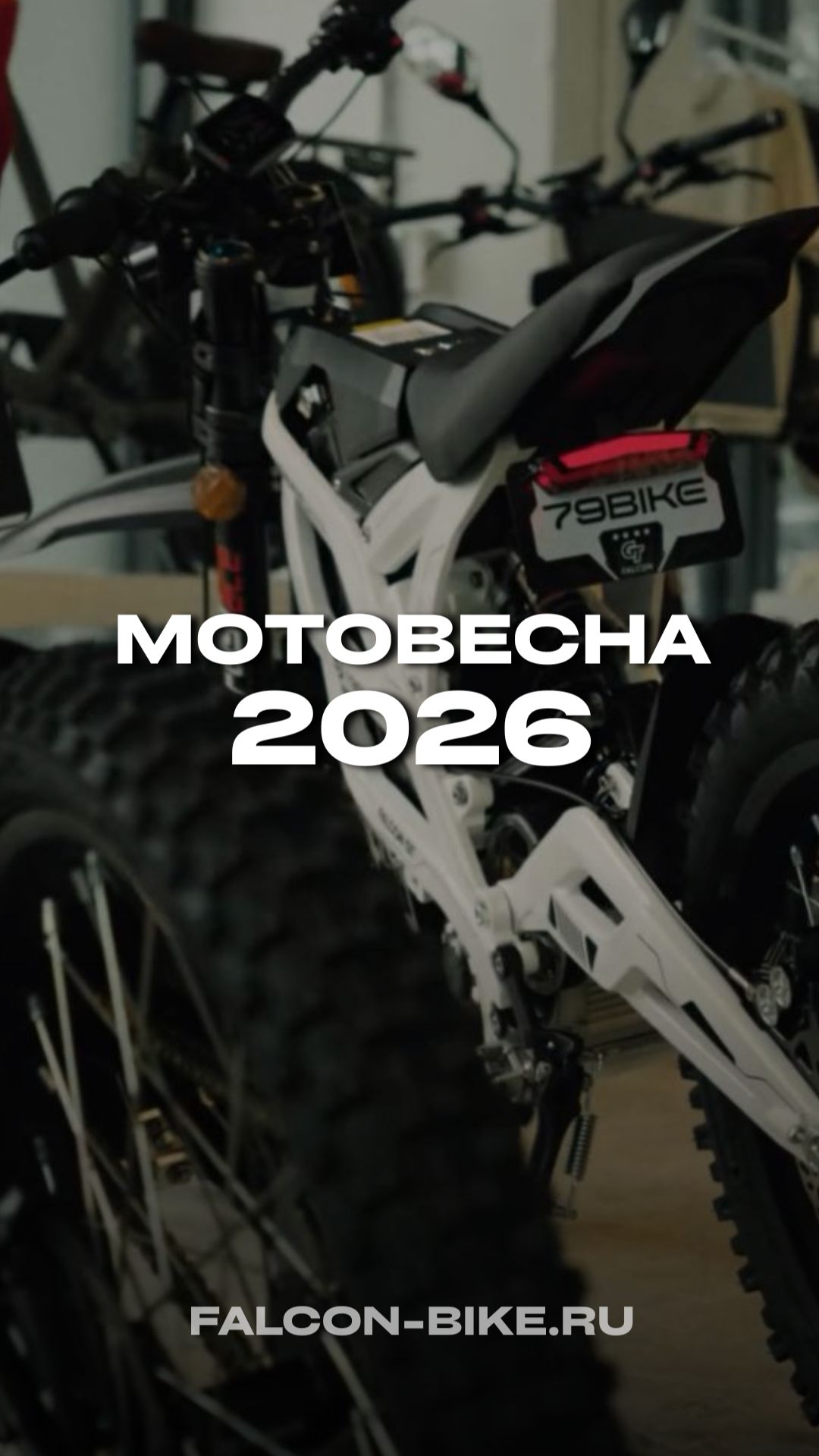 МОТОВЕСНА 2026