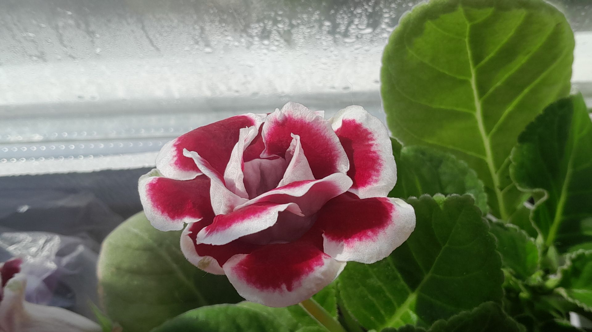 УЮТНЫЙ🫠 #ВЛОГ🏡СУББОТНИЙ ДЕНЬ В ЗАГОРОДНОМ ДОМЕ/ОТВЕТ ПО КНИГАМ ч.2