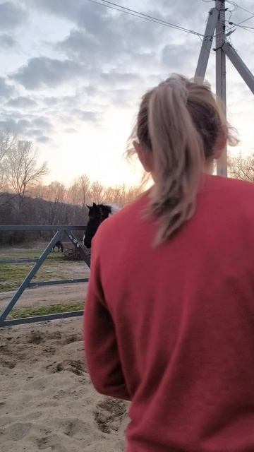 Упал и расстроился