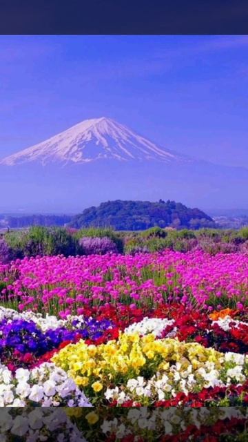 Вот и осень...