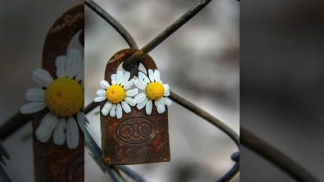 Отрывок из жизни.