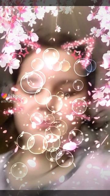 СЖИ 124_Барбашина Екатерина_Garfield's Lasagna