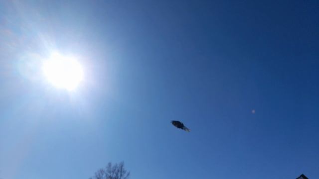 0375e2cc0f448a64aa93666e73a9a9de